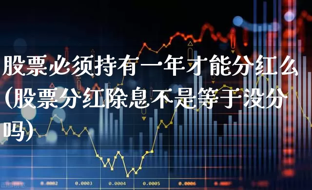 股票必须持有一年才能分红么(股票分红除息不是等于没分吗)_https://www.syklpowerbike.com_北交所_第1张