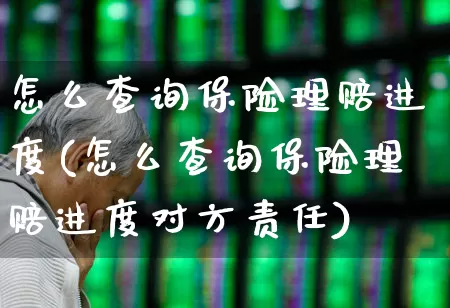 怎么查询保险理赔进度(怎么查询保险理赔进度对方责任)_https://www.syklpowerbike.com_科创板_第1张
