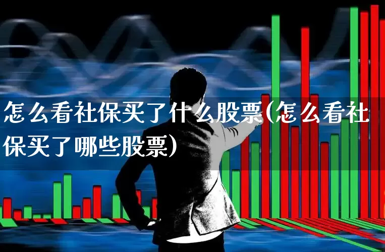 怎么看社保买了什么股票(怎么看社保买了哪些股票)_https://www.syklpowerbike.com_深交所_第1张