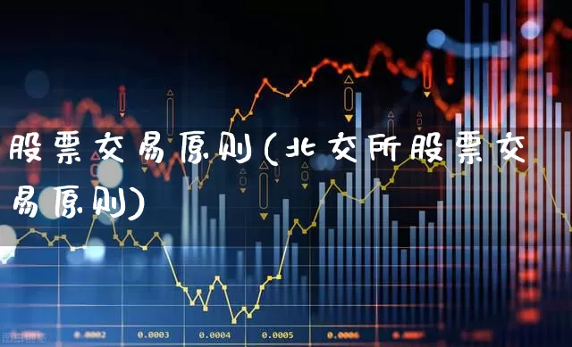 股票交易原则(北交所股票交易原则)_https://www.syklpowerbike.com_深交所_第1张