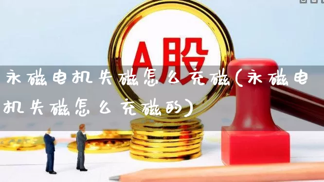 永磁电机失磁怎么充磁(永磁电机失磁怎么充磁的)_https://www.syklpowerbike.com_北交所_第1张