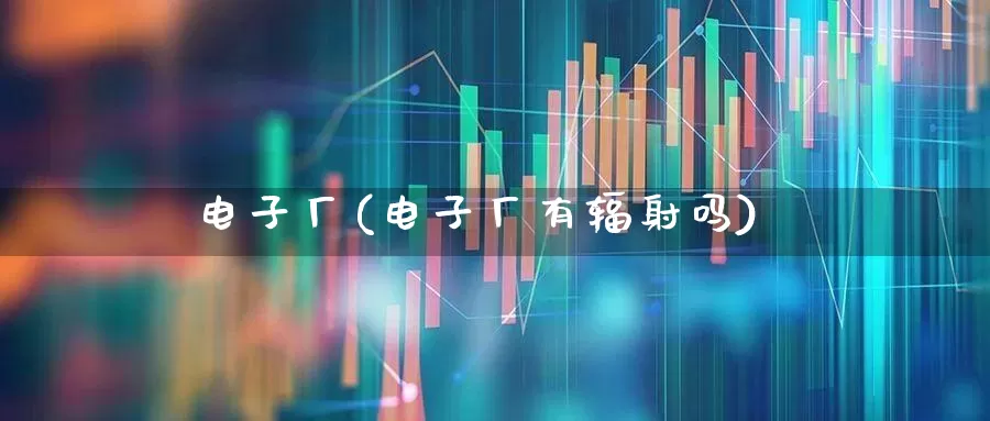 电子厂(电子厂有辐射吗)_https://www.syklpowerbike.com_深交所_第1张