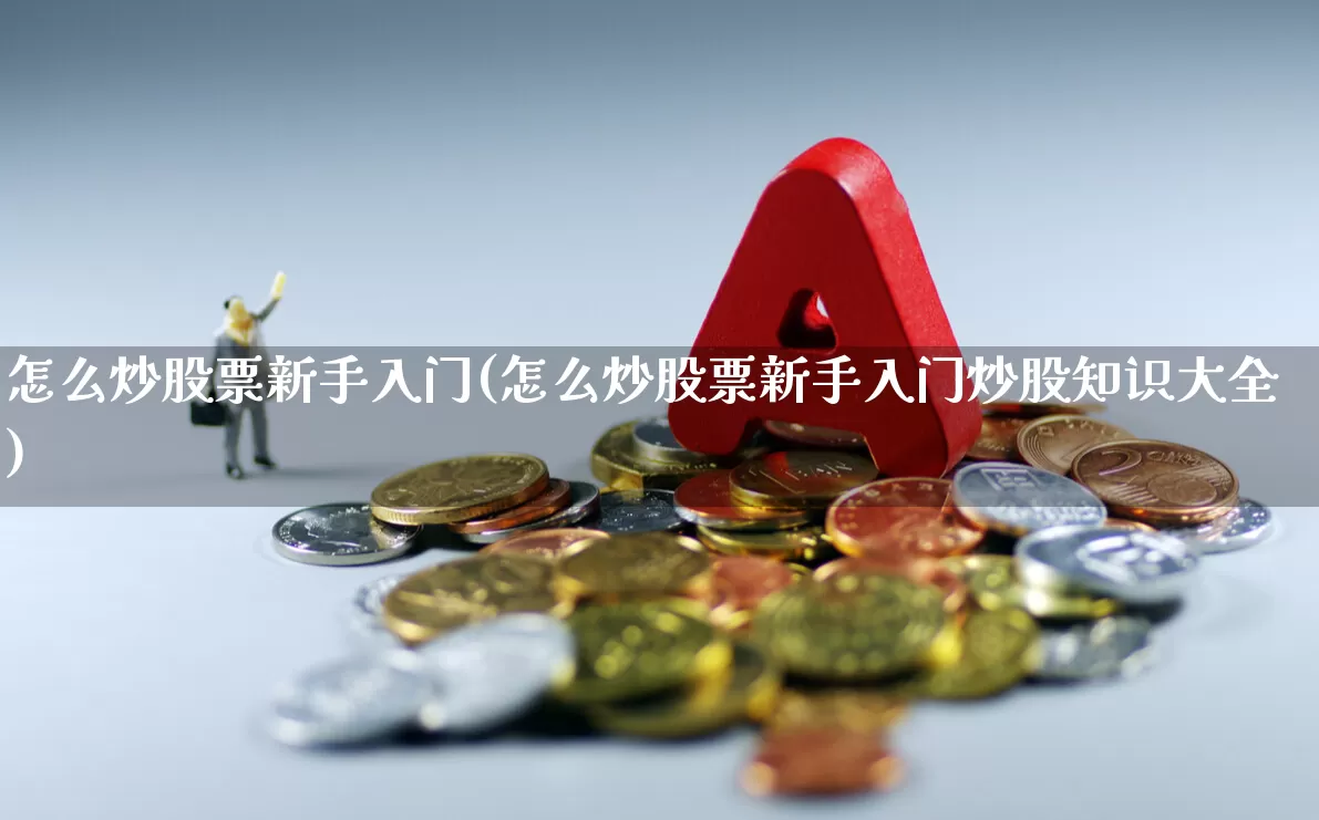 怎么炒股票新手入门(怎么炒股票新手入门炒股知识大全)_https://www.syklpowerbike.com_上交所_第1张