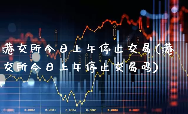 港交所今日上午停止交易(港交所今日上午停止交易吗)_https://www.syklpowerbike.com_北交所_第1张