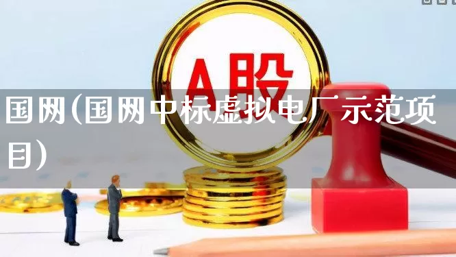 国网(国网中标虚拟电厂示范项目)_https://www.syklpowerbike.com_创业板_第1张