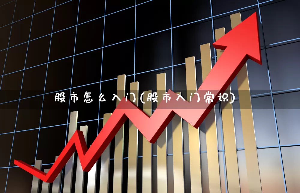 股市怎么入门(股市入门常识)_https://www.syklpowerbike.com_科创板_第1张