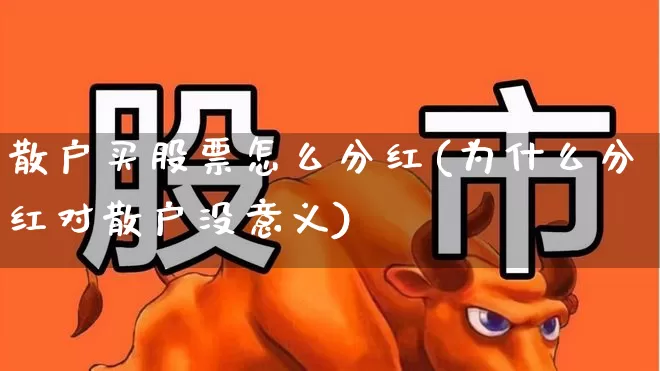 散户买股票怎么分红(为什么分红对散户没意义)_https://www.syklpowerbike.com_深交所_第1张