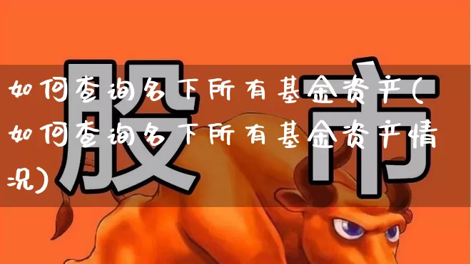 如何查询名下所有基金资产(如何查询名下所有基金资产情况)_https://www.syklpowerbike.com_北交所_第1张