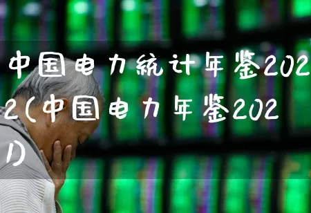 中国电力统计年鉴2022(中国电力年鉴2021)_https://www.syklpowerbike.com_科创板_第1张