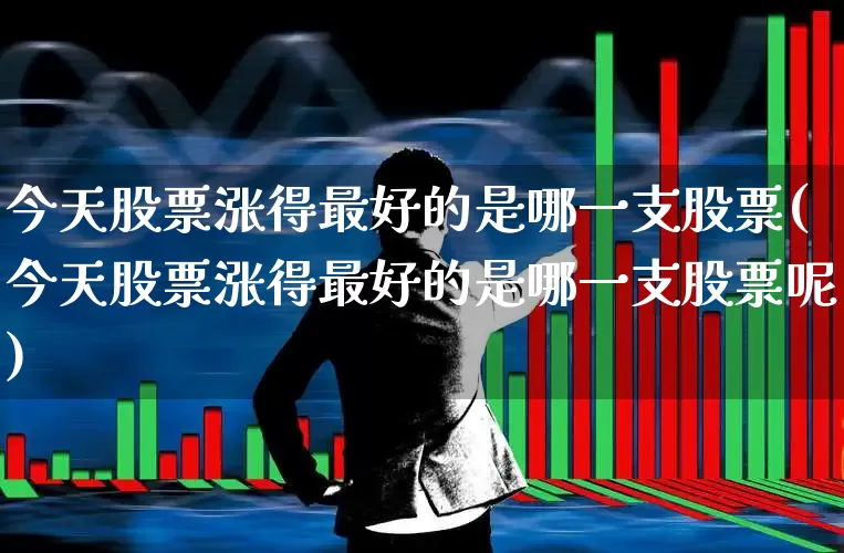 今天股票涨得最好的是哪一支股票(今天股票涨得最好的是哪一支股票呢)_https://www.syklpowerbike.com_科创板_第1张