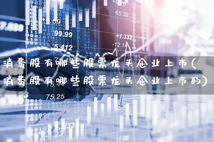 消费股有哪些股票龙头企业上市(消费股有哪些股票龙头企业上市的)_https://www.syklpowerbike.com_北交所_第1张