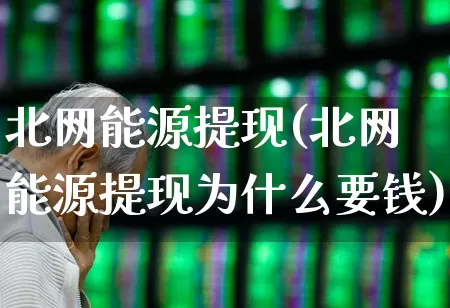 北网能源提现(北网能源提现为什么要钱)_https://www.syklpowerbike.com_科创板_第1张