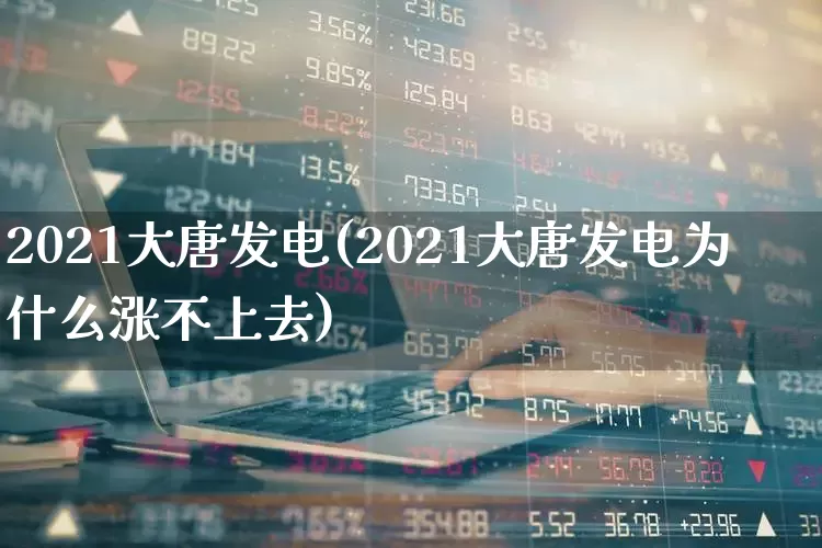2021大唐发电(2021大唐发电为什么涨不上去)_https://www.syklpowerbike.com_深交所_第1张