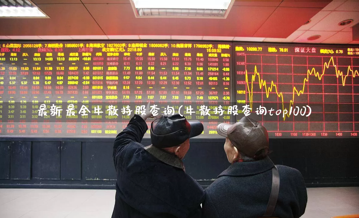 最新最全牛散持股查询(牛散持股查询top100)_https://www.syklpowerbike.com_北交所_第1张