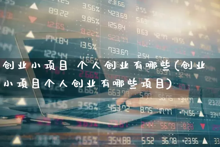 创业小项目 个人创业有哪些(创业小项目个人创业有哪些项目)_https://www.syklpowerbike.com_深交所_第1张