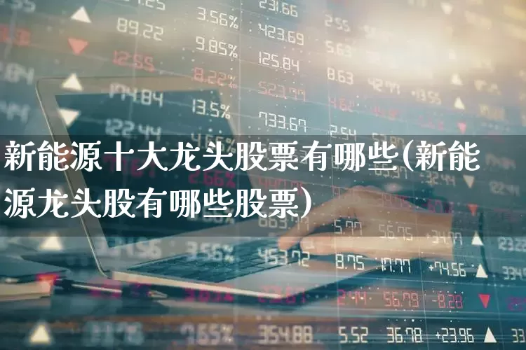 新能源十大龙头股票有哪些(新能源龙头股有哪些股票)_https://www.syklpowerbike.com_创业板_第1张