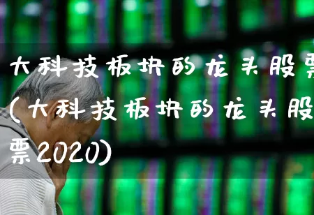 大科技板块的龙头股票(大科技板块的龙头股票2020)_https://www.syklpowerbike.com_上交所_第1张
