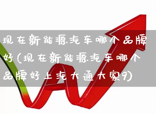 现在新能源汽车哪个品牌好(现在新能源汽车哪个品牌好上汽大通大家9)_https://www.syklpowerbike.com_北交所_第1张