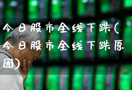 今日股市全线下跌(今日股市全线下跌原因)_https://www.syklpowerbike.com_上交所_第1张