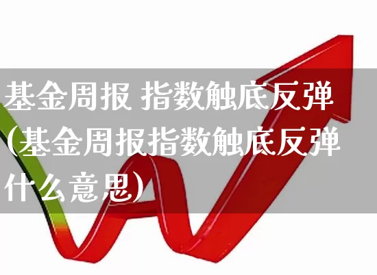 基金周报 指数触底反弹(基金周报指数触底反弹什么意思)_https://www.syklpowerbike.com_创业板_第1张