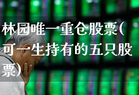 林园唯一重仓股票(可一生持有的五只股票)_https://www.syklpowerbike.com_北交所_第1张