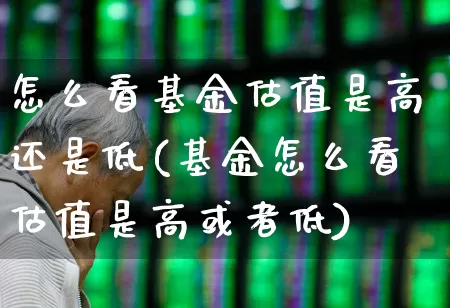 怎么看基金估值是高还是低(基金怎么看估值是高或者低)_https://www.syklpowerbike.com_深交所_第1张