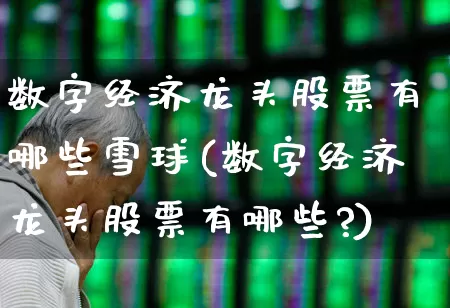 数字经济龙头股票有哪些雪球(数字经济龙头股票有哪些?)_https://www.syklpowerbike.com_创业板_第1张