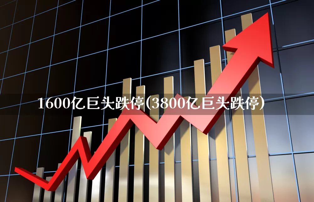 1600亿巨头跌停(3800亿巨头跌停)_https://www.syklpowerbike.com_北交所_第1张