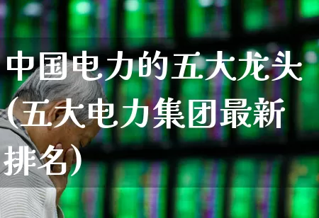 中国电力的五大龙头(五大电力集团最新排名)_https://www.syklpowerbike.com_北交所_第1张