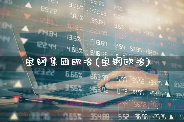 宝钢集团欧冶(宝钢欧冶)_https://www.syklpowerbike.com_科创板_第1张