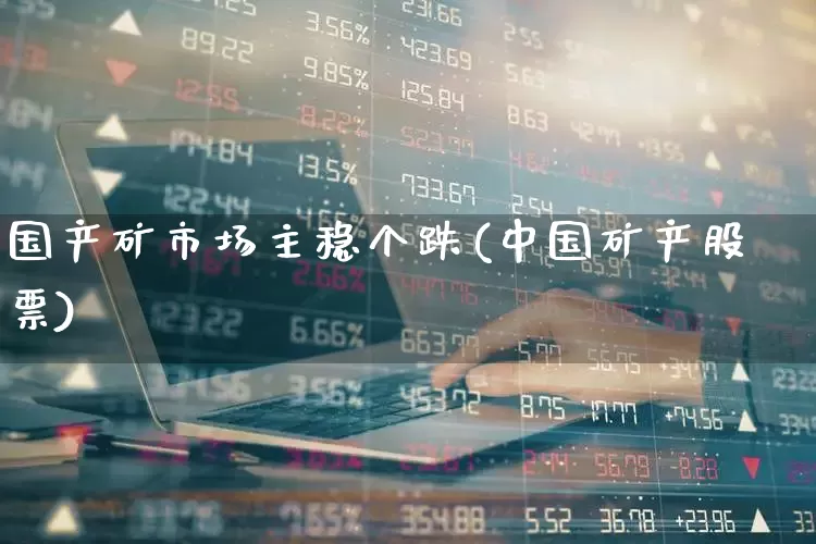 国产矿市场主稳个跌(中国矿产股票)_https://www.syklpowerbike.com_深交所_第1张