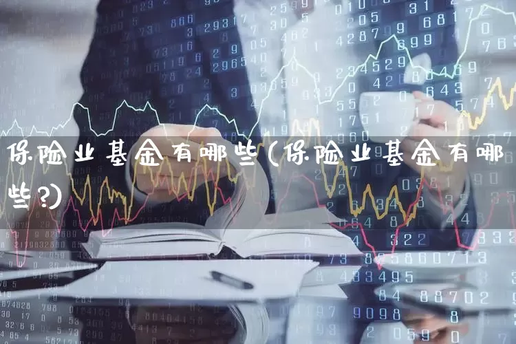 保险业基金有哪些(保险业基金有哪些?)_https://www.syklpowerbike.com_北交所_第1张