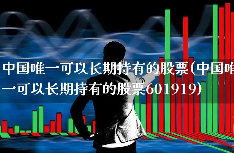 中国唯一可以长期持有的股票(中国唯一可以长期持有的股票601919)_https://www.syklpowerbike.com_创业板_第1张