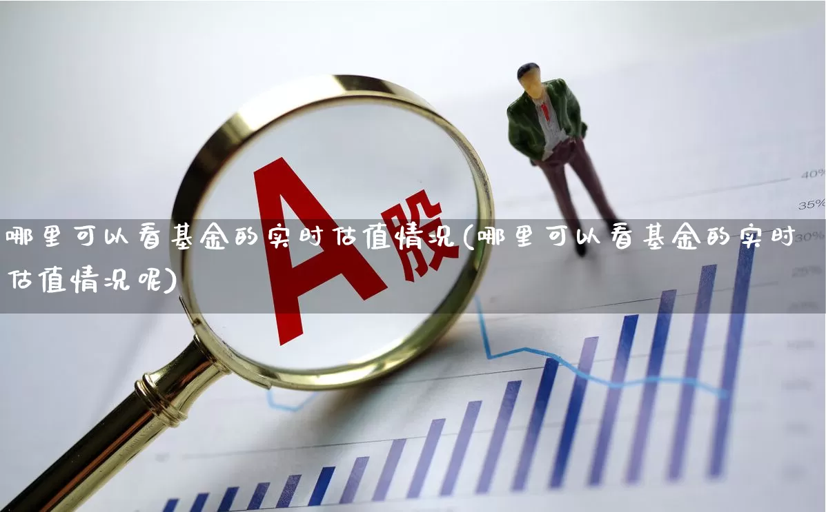 哪里可以看基金的实时估值情况(哪里可以看基金的实时估值情况呢)_https://www.syklpowerbike.com_北交所_第1张