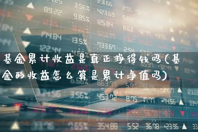 基金累计收益是真正挣得钱吗(基金的收益怎么算是累计净值吗)_https://www.syklpowerbike.com_创业板_第1张