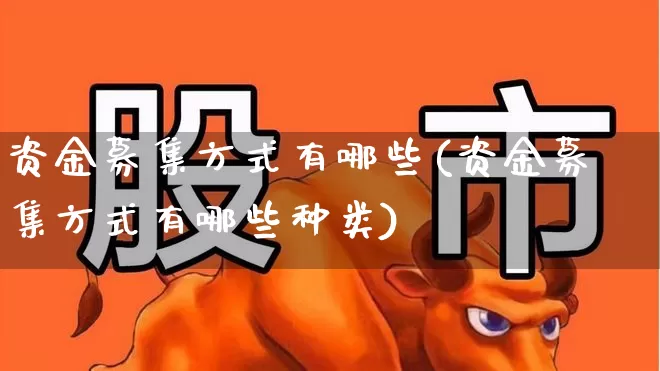 资金募集方式有哪些(资金募集方式有哪些种类)_https://www.syklpowerbike.com_创业板_第1张
