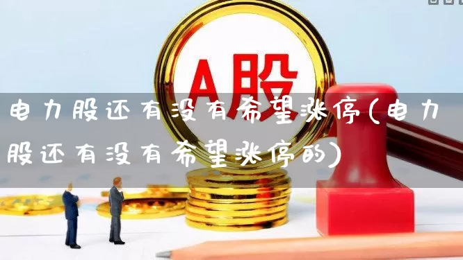 电力股还有没有希望涨停(电力股还有没有希望涨停的)_https://www.syklpowerbike.com_科创板_第1张