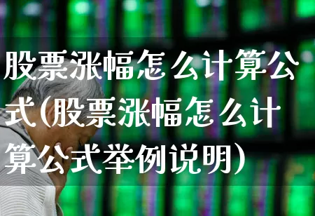 股票涨幅怎么计算公式(股票涨幅怎么计算公式举例说明)_https://www.syklpowerbike.com_科创板_第1张