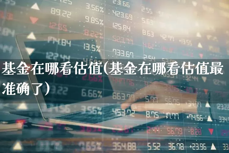 基金在哪看估值(基金在哪看估值最准确了)_https://www.syklpowerbike.com_科创板_第1张