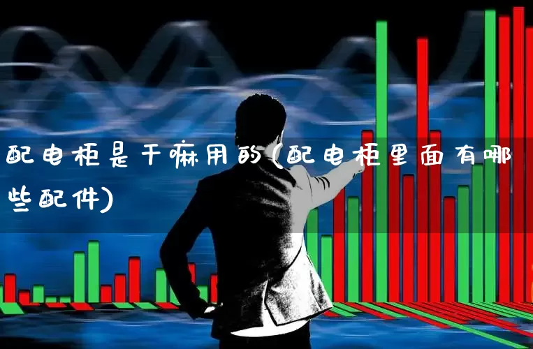 配电柜是干嘛用的(配电柜里面有哪些配件)_https://www.syklpowerbike.com_北交所_第1张