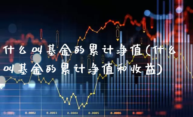 什么叫基金的累计净值(什么叫基金的累计净值和收益)_https://www.syklpowerbike.com_创业板_第1张