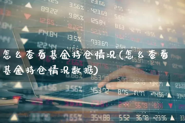 怎么查看基金持仓情况(怎么查看基金持仓情况数据)_https://www.syklpowerbike.com_科创板_第1张