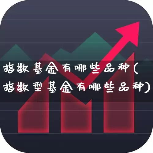 指数基金有哪些品种(指数型基金有哪些品种)_https://www.syklpowerbike.com_深交所_第1张