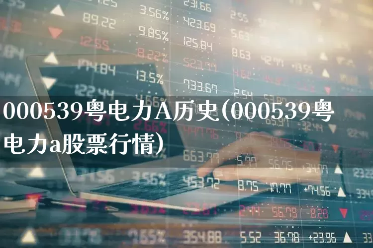 000539粤电力A历史(000539粤电力a股票行情)_https://www.syklpowerbike.com_科创板_第1张