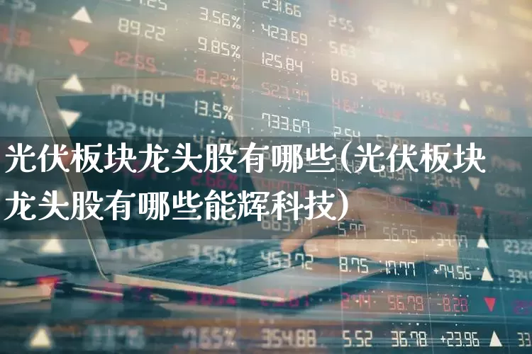 光伏板块龙头股有哪些(光伏板块龙头股有哪些能辉科技)_https://www.syklpowerbike.com_上交所_第1张