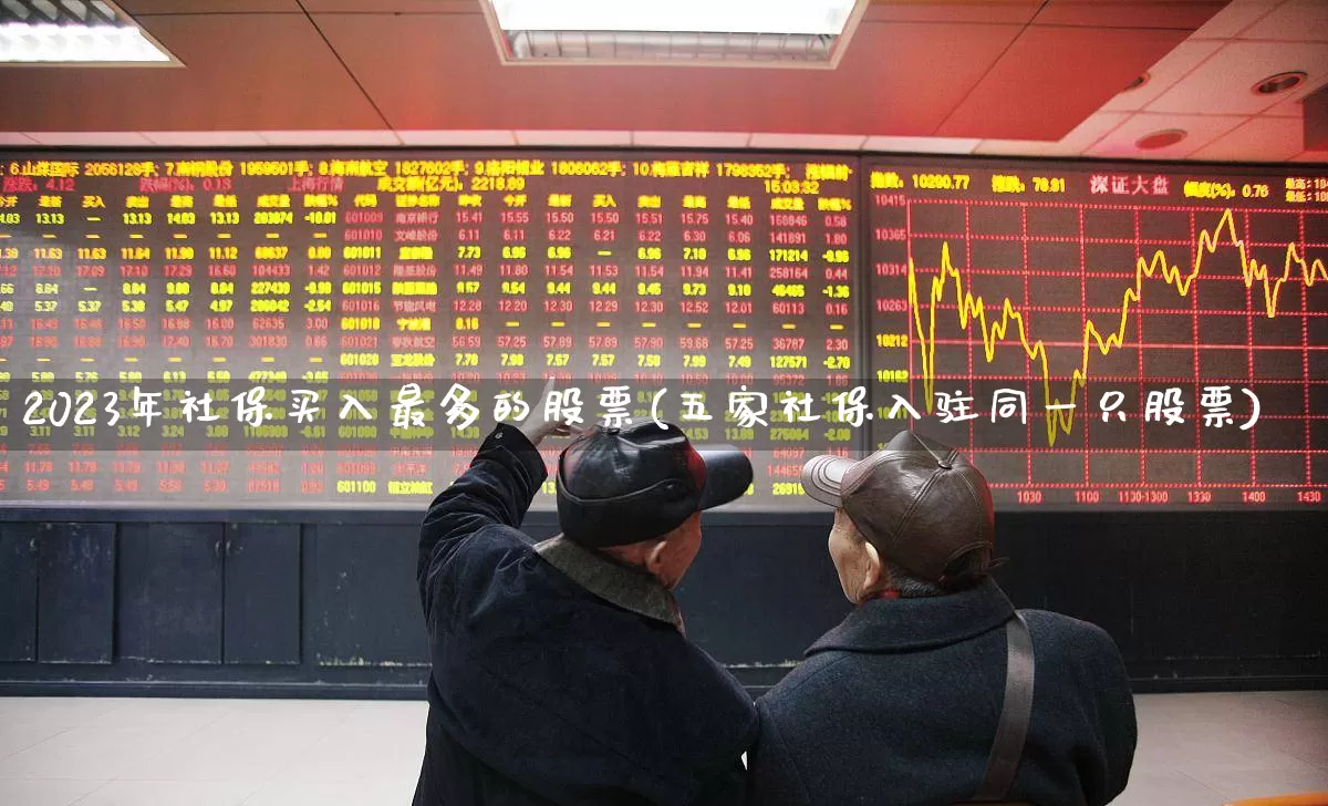 2023年社保买入最多的股票(五家社保入驻同一只股票)_https://www.syklpowerbike.com_北交所_第1张