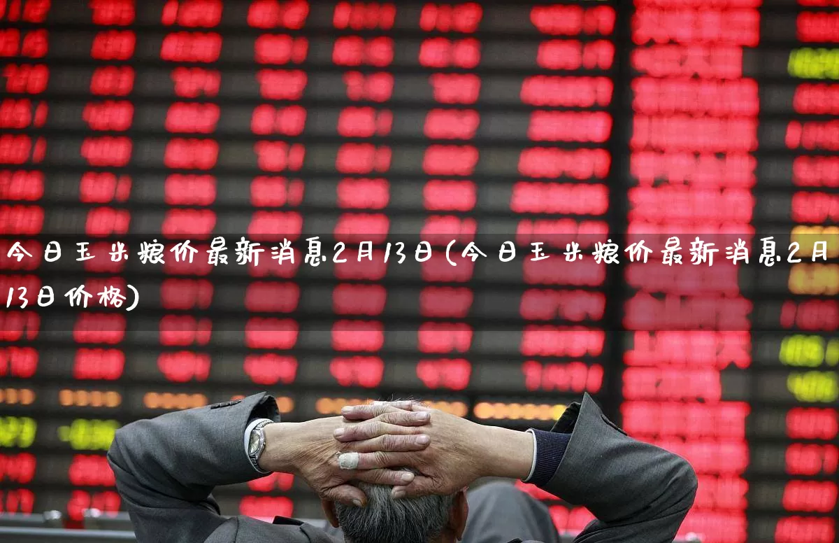 今日玉米粮价最新消息2月13日(今日玉米粮价最新消息2月13日价格)_https://www.syklpowerbike.com_科创板_第1张