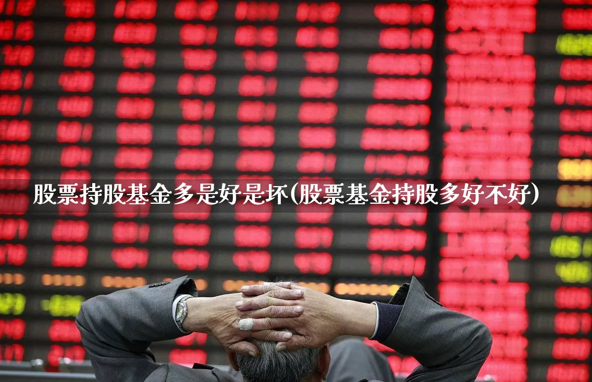 股票持股基金多是好是坏(股票基金持股多好不好)_https://www.syklpowerbike.com_深交所_第1张