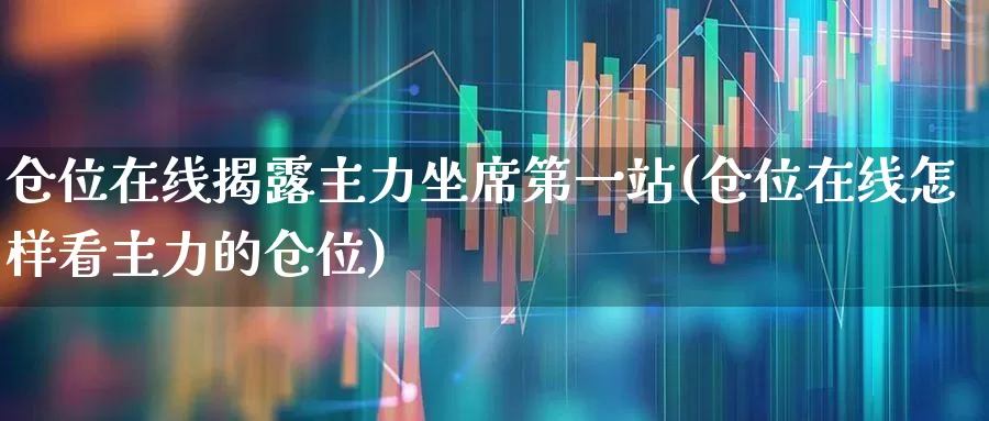 仓位在线揭露主力坐席第一站(仓位在线怎样看主力的仓位)_https://www.syklpowerbike.com_北交所_第1张