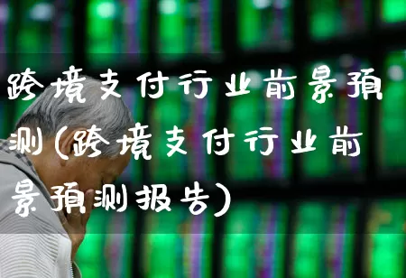 跨境支付行业前景预测(跨境支付行业前景预测报告)_https://www.syklpowerbike.com_科创板_第1张